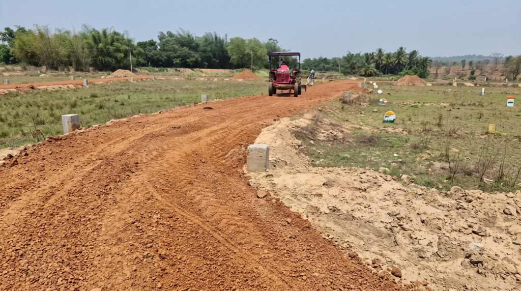plot near road